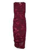 Noella Lavinia Dress Burgundy