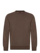 Morris Brandon Lily Sweatshirt Brun