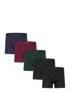 Frank Dandy Bo.5P Tonal Boxer Svart