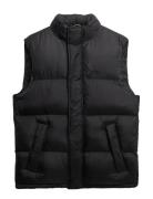 Superdry Tech Padded Gilet Svart