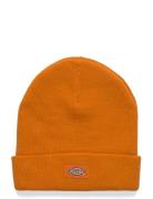 Dickies M Gibsland Beanie Orange