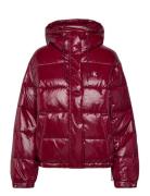 Calvin Klein Jeans Shine Puffer Jacket Burgundy