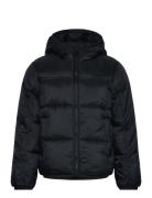 Champion Hooded Jacket Svart