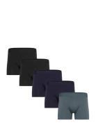 Claudio Claudio 5-Pack Tights Blå
