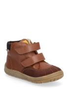 ANGULUS Boots - Flat - With Velcro Brun