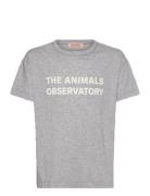 THE ANIMALS OBSERVATORY Frey Orion T-Shirt Grå