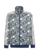 Adidas Originals Firebird Tt Multi/patterned