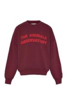 THE ANIMALS OBSERVATORY Browned Farnet Leo Sweatshirt Burgundy