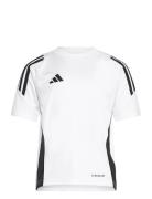 Adidas Performance Tiro24 Jsyy Vit