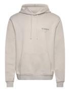 AllSaints Future Oth Hoody Grå