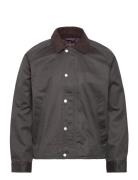 Abercrombie & Fitch Lw Zip Barn Jacket Grå
