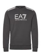 EA7 Sweatshirt Grå