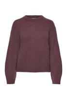 Noella Kae Knit Burgundy