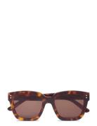 Corlin Eyewear Modena Tortoise Brown Brun