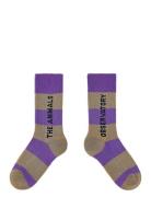 THE ANIMALS OBSERVATORY Purple Worm Socks Lila