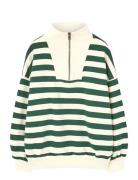 THE ANIMALS OBSERVATORY Stripes Freen Blowfly Sweatshirt Grön