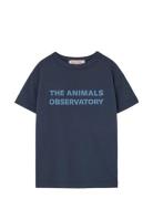 THE ANIMALS OBSERVATORY Navy Orion T-Shirt Marinblå