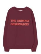 THE ANIMALS OBSERVATORY Browned Farnet Leo Sweatshirt Burgundy