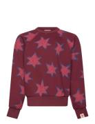 THE ANIMALS OBSERVATORY Stars Shark Sweatshirt Burgundy