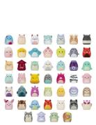 AMO Squish-A-Longs 2,5 Cm Blind 2 Pack Asst S2 Cdu Multi/patterned