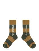 THE ANIMALS OBSERVATORY Brown Worm Socks Khaki Green