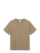 WOOD WOOD Wwace Brun