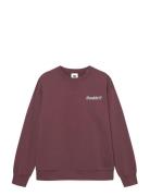 WOOD WOOD Wwjames Crew Neck Aaneue 25219 Röd