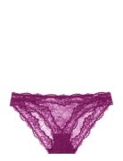 Dorina Origins Lace Brief Lila
