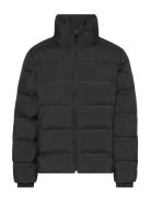 Calvin Klein Ls Quilted Bonded Channel Hd Puf Svart