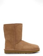 UGG W Classic Short Ii Brun