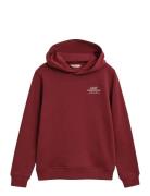 GANT Graphic Hoodie Multi/patterned