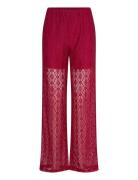 Noella Texas Lace Pants Burgundy