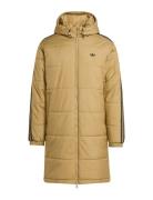 Adidas Originals Adicol Long Jkt Gul