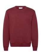 Tiger Of Sweden Emerson Burgundy