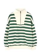 THE ANIMALS OBSERVATORY Stripes Freen Blowfly Sweatshirt Grön