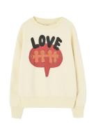 THE ANIMALS OBSERVATORY Love Flan Yellow Bear Sweatshirt Kräm
