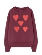 THE ANIMALS OBSERVATORY Hearts Browned Farnet Bear Sweatshirt Burgundy