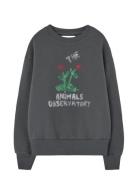 THE ANIMALS OBSERVATORY Flowers Dark Frey Bear Sweatshirt Grå
