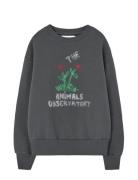 THE ANIMALS OBSERVATORY Flowers Dark Frey Bear Sweatshirt Grå
