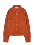 THE ANIMALS OBSERVATORY Fif Red Beabull Shirt Orange