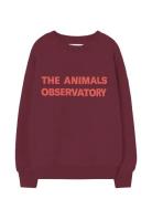 THE ANIMALS OBSERVATORY Browned Farnet Leo Sweatshirt Burgundy