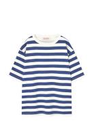 THE ANIMALS OBSERVATORY Stripes Navy Collie T-Shirt Marinblå