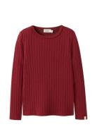 Lil'Atelier Nmfrita Sig Ls Slim Top Lil Burgundy