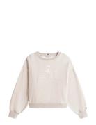 Tommy Hilfiger Varsity Crest Fleece Swtshrt Beige
