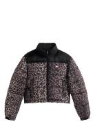 Tommy Jeans Tjw Cropped Leopard Puffer Svart