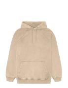 Woodbird Wbpaw Washed Hoodie Beige