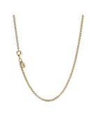 Pandora 14K Gold-Plated Rolo Necklace Guld