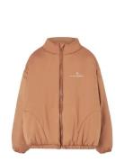 THE ANIMALS OBSERVATORY Crocodile Kid Puffer Jacket Almond Brown Brun