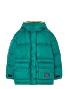 THE ANIMALS OBSERVATORY Lemur Kid Puffer Jacket Maroon Grön