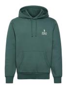Polo Ralph Lauren Logo Fleece Hoodie Grön